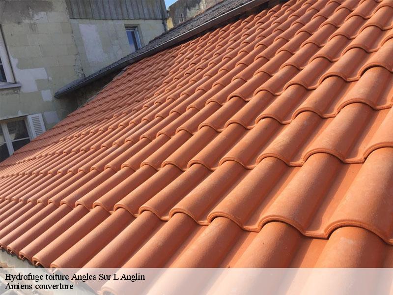 Hydrofuge toiture  angles-sur-l-anglin-86260 Amiens couverture