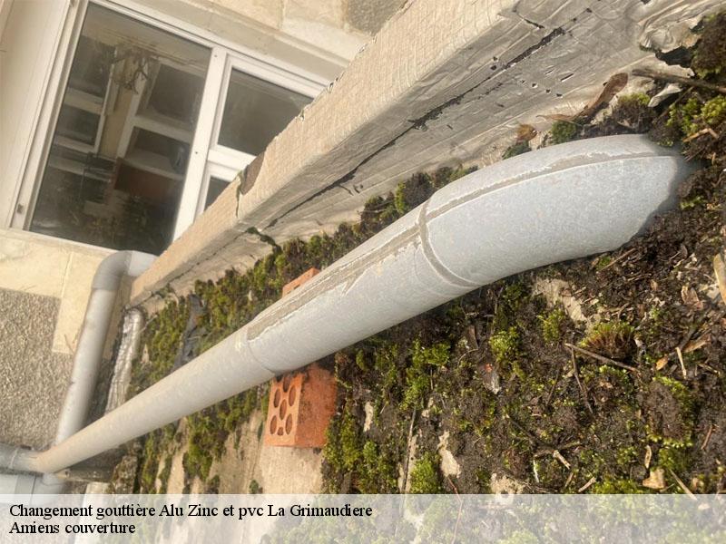 Changement gouttière Alu Zinc et pvc  la-grimaudiere-86330 Amiens couverture